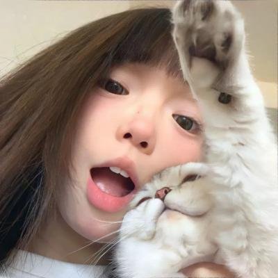 说得好,小猫咪!